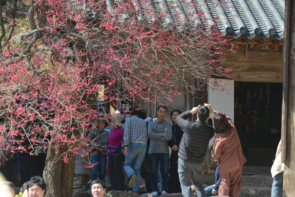 ȫ��ȭ ���� ���׽�Ʈ ��ǰ�� ���� ���ᰴ�� �޴������� ȫ��ȭ�� �Կ��ϰ��ִ�