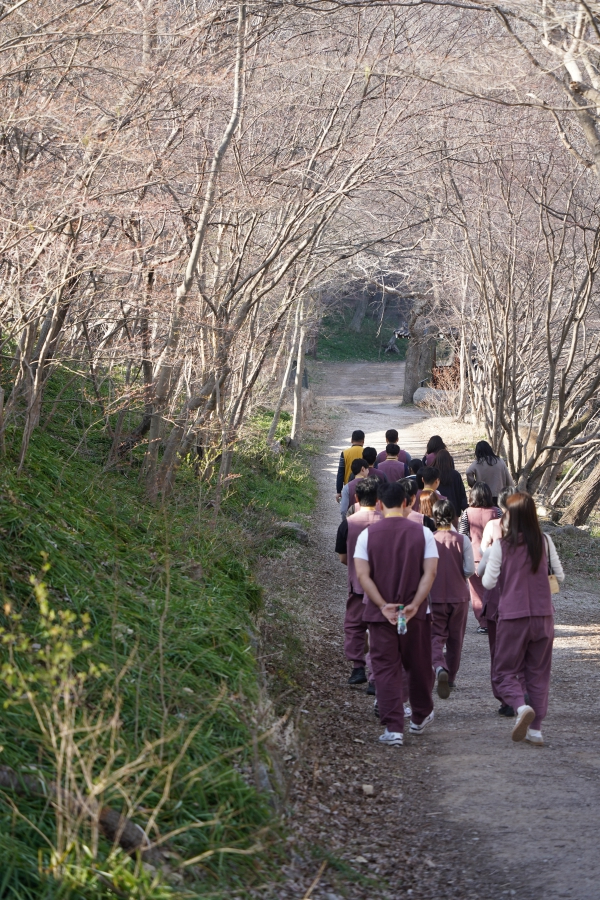 사찰의 아름다운 풍경과 어울려 그림이 따로 없다.