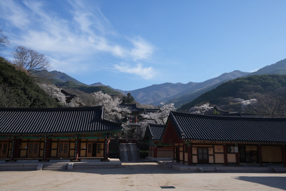 ȭ���� ���ý����̰� ������ �ڿ� ������ ������ �����