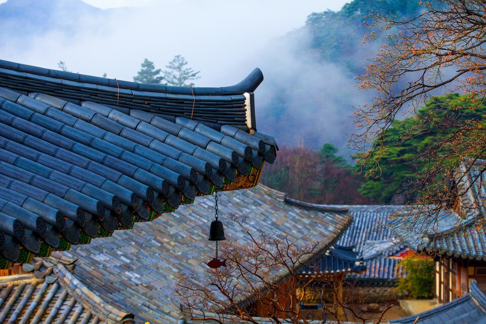 ���� ������ �ְ��� ���� ���� 'ǳ��Ҹ�' .&nbsp;