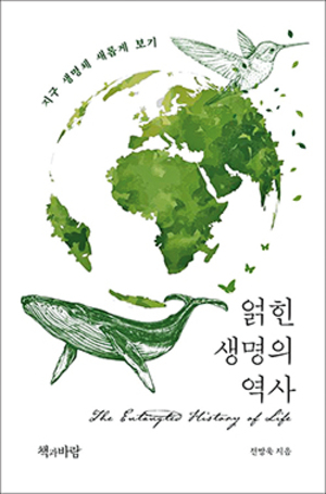 불교신문 전방욱 강릉원주대 교수 저서 소개 기사 썸네일